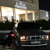 usenov_181
