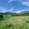 gioannhan