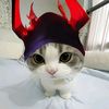 guss_haan