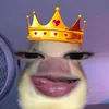 jd_zm8