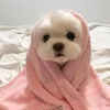 兄さん、映画