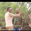 wanagahoyadis2