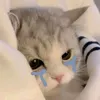 emdoiaichoemandihuhu