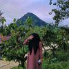 nurulaulya91