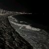 r_205_1