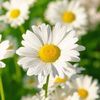saly.saly663