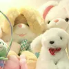 maiphuong4665677