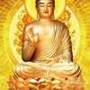 phmthng2504