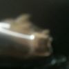 ismahihossain11