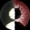 ngotapoi0