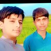 tahseen275