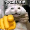 danish.danial02