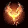 vanguardphoenix