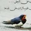 user54733044582820