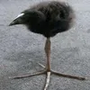 zzzzzzz2_0
