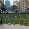 ruslan.selimov34