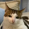 userqkyb5rh3zu
