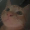 6tnyan