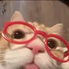 blephee