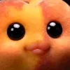 bigfatplumpynichefruit