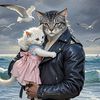 meow.blast