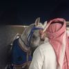 omar.alsubaie1
