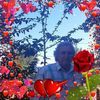 fabiandafonseca1