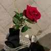 no_p.r