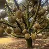 www.btiktok.comww