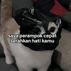 yanzz.preseet1
