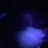 st4rfy.xi0