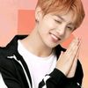 army.phyo