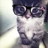 mklzz._0