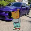 salpal_210