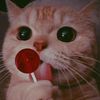 lolo_dodo321