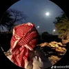 user221079227