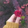 theticgilr02