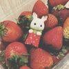 .shafiraazzahra_