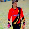 habibstoinis7