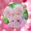 しぬまでかわいい美容系フォロバ100