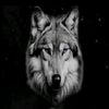 Wolf Billion