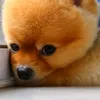 nahachan_0730