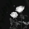 jade_jadie6706