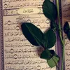 religiousaccount84