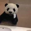 ngwie.sayhii