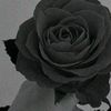 jannat__ansari1