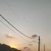 gesyamtlssy