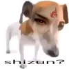 ayayo