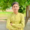 hasnainlashari.7