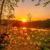 chill_ua9